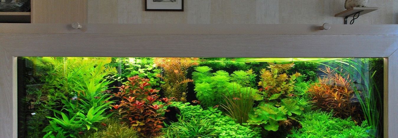 responsive slider