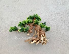 LŨA BONSAI GẮN CÂY GIẢ 29x22 CM