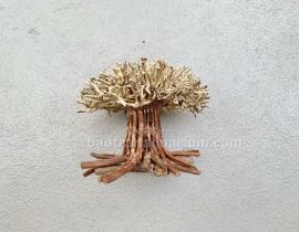 LŨA BONSAI 18x18 CM