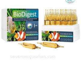 VI SINH SỐNG PRODIBIO BIODIGEST - PHÁP 