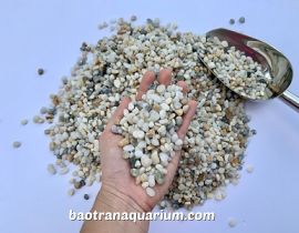SỎI 3 MÀU HẠT TO BAO 2KG 