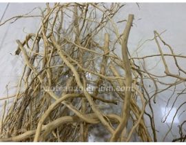 LŨA RỄ RỪNG 100GRAM