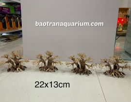 LŨA BONSAI 22x13 CM