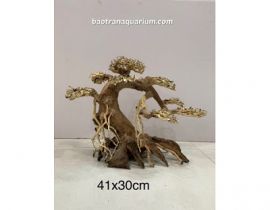 LŨA BONSAI 41x30 CM