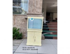 TỦ GỖ HDF 50x30x60(DXRXC)